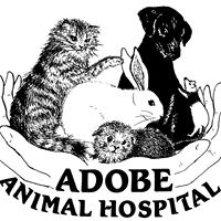 Adobe Animal Hospital