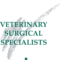 Veterinary Surgical Specialists