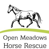 Open Meadows Horse Rescue