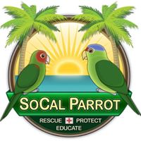 SoCal Parrot