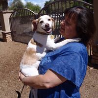 Southern Arizona Beagle Rescue