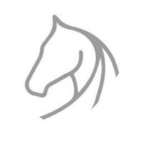 Cornerstone Equine