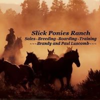 Slick Ponies Ranch