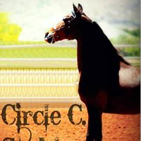 Circle C Stables