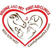 Equine & Pet Health and First Aid Training