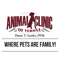 Animal Clinic Of Verona