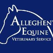 Allegheny Equine Veterinary Service