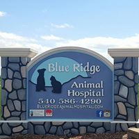 Blue Ridge Animal Hospital