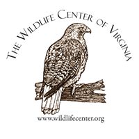 Wildlife Center of Virginia