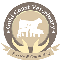 Gold Coast Veterinary Service & Consulting