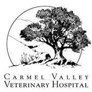 Carmel Valley Veterinary Hospital