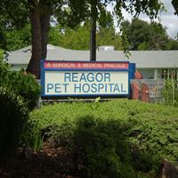 Reagor Pet Hospital