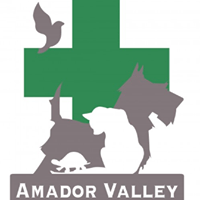 Amador Valley Veterinary Center