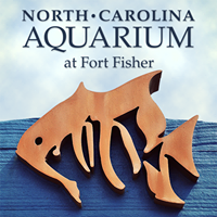 NC Aquarium at Fort Fisher