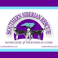 Southern Siberian Rescue