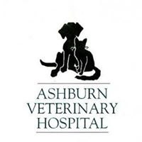 Ashburn Veterinary Hospital