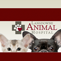 Lansdowne Animal Hospital