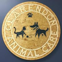 Clarendon Animal Care