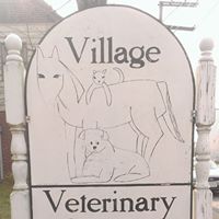 Village Veterinary Service