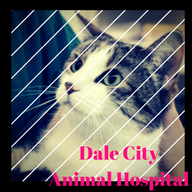 Dale City Animal Hospital