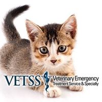 Veterinary Emergency Treatment Services & Specialty