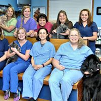 New River Animal Hospital