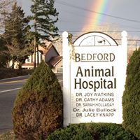 Bedford Animal Hospital