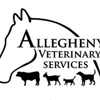 Allegheny Veterinary Services