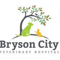 Bryson City Veterinary Hospital