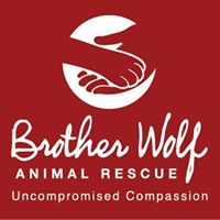 Brother Wolf Animal Rescue