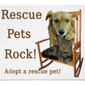 Lancaster County SC: Animal Control Pet Helpers