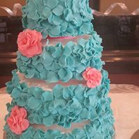 Crazy Cakes by Kylie