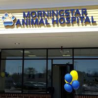 Morningstar Animal Hospital