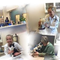 Bassler Veterinary Hospital