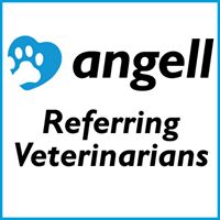 Angell Animal Medical Center Referring Veterinarians