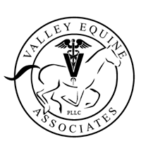 Valley Equine Associates, PLLC