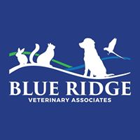 Blue Ridge Veterinary Associates