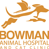 Bowman Animal Hospital & Cat Clinic