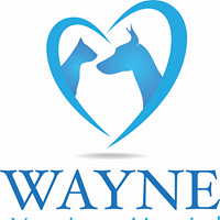 Wayne Veterinary Hospital, PA