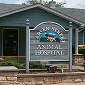 Carver Street Animal Hospital