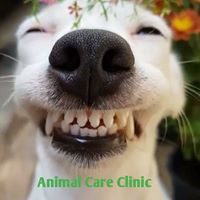 Animal Care Clinic of Rural Hall