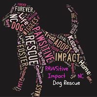 Pawsitive Impact NC Dog Rescue