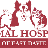 Animal Hospital of East Davie