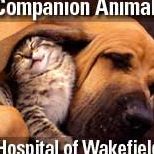 Companion Animal Hospital of Wakefield