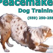 Peacemaker Dog Training