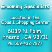 Central Bark Grooming Specialists