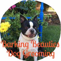 Barking Beauties