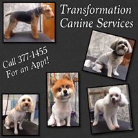 Transformation Canine Services