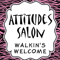 Attitudes Salon, Lincoln, CA