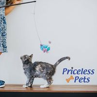 Priceless Pet Rescue